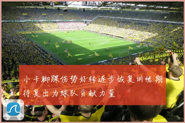 小卡脚踝伤势好转逐步恢复训练期待复出为球队贡献力量