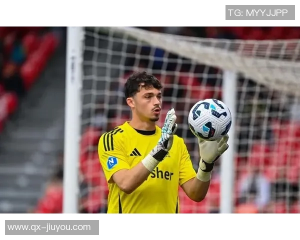 费迪南德称赞拉门斯门将表现提升后防稳定性球队受益明显